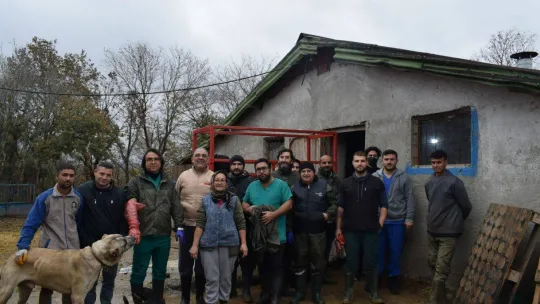 Silivri'de tohumlama yapılacak mandaların tespit çalışmaları yapıldı