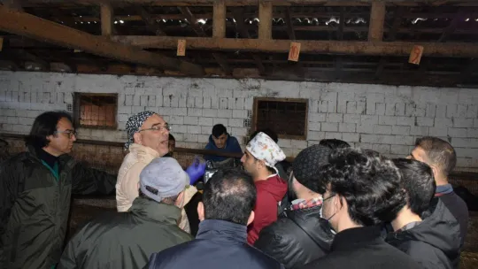 Silivri'de tohumlama yapılacak mandaların tespit çalışmaları yapıldı