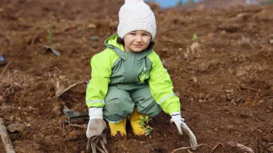 4 yılda 4 bin fidan doğayla buluştu