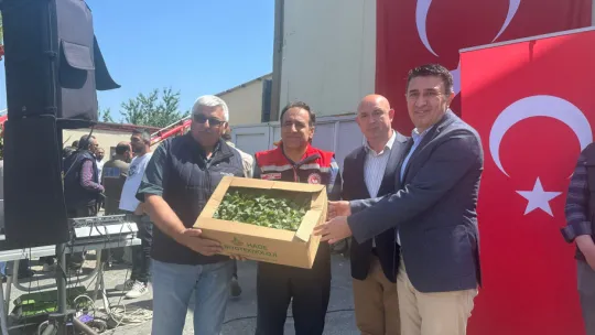 Silivri'de 1 Milyon Fide Dağıtıldı: Yerli ve Milli Fidelerle Sebze Üretimi Projesi