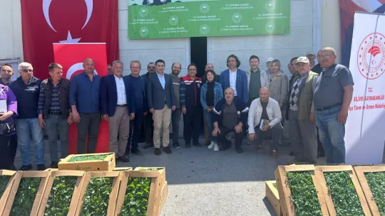 Silivri'de 1 Milyon Fide Dağıtıldı: Yerli ve Milli Fidelerle Sebze Üretimi Projesi