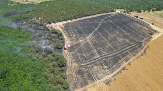Çeltik Mahallesi'nde Çıkan Yangın Kontrol Altına Alındı