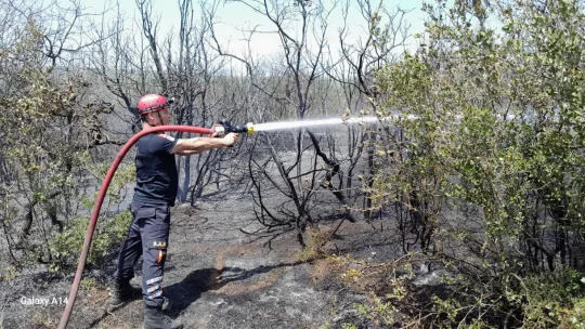 Çeltik Mahallesi'nde Çıkan Yangın Kontrol Altına Alındı