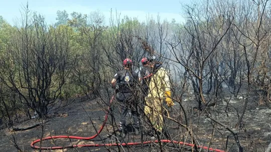 Çeltik Mahallesi'nde Çıkan Yangın Kontrol Altına Alındı