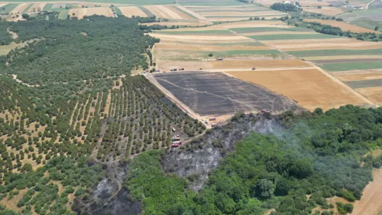 Çeltik Mahallesi'nde Çıkan Yangın Kontrol Altına Alındı