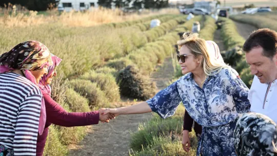 Başkan Balcıoğlu Lavanta Hasatı ve Zeytinyağı Tadım Etkinliğine Katıldı