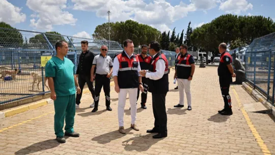 Silivri Belediyesi'nden Küçük Hayvan Rehabilitasyon Merkezi'ne Kapasite Artırımı