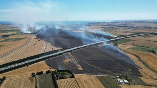 Silivri'de 11 Farklı Noktada, Aynı Anda Çıkan Yangınlar Kısa Sürede Kontrol Altına Alındı
