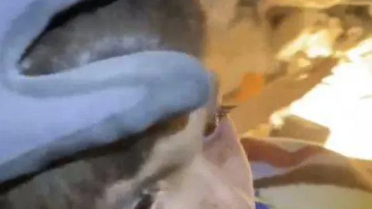 5 yaşındaki Mehmet 45 saat sonra umut oldu