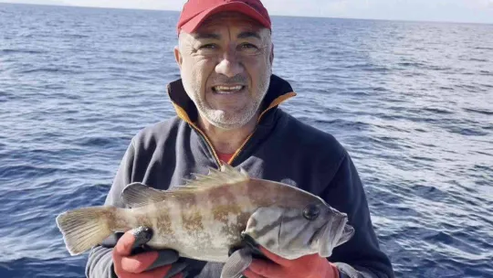 50 yıl sonra ilk kez Kuzey Ege'de görüldü