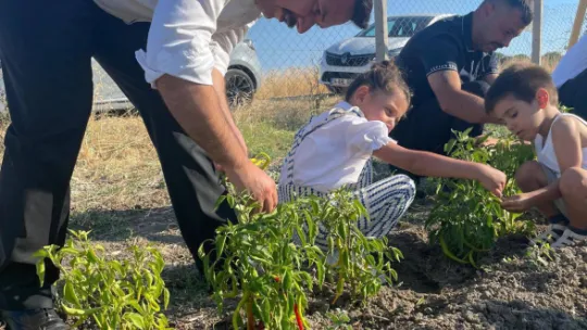 Silivri Ülkü Ocakları'ndan Tarıma Katkı: İlk Hasat Gerçekleştirildi