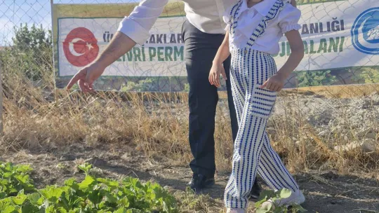 Silivri Ülkü Ocakları'ndan Tarıma Katkı: İlk Hasat Gerçekleştirildi