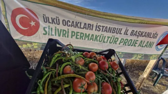 Silivri Ülkü Ocakları'ndan Tarıma Katkı: İlk Hasat Gerçekleştirildi