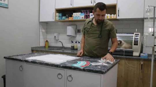 6 gün sonra süre doluyor: Veteriner hekimler ek süre istedi