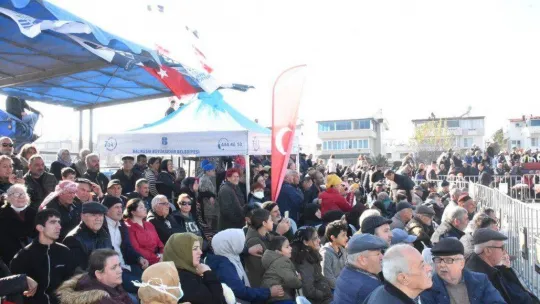 7. Geleneksel Edremit Deve Güreşleri Festivali yapıldı