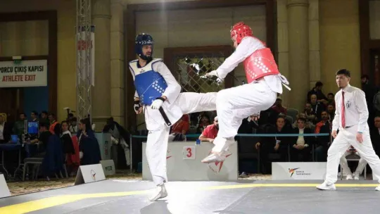 8. WT Başkanlık Kupası'nda millilerden 14 madalya