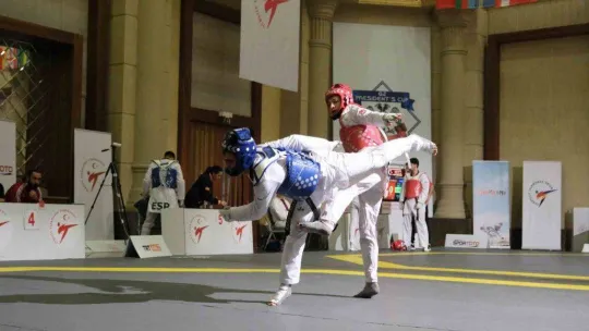 8. WT Başkanlık Kupası'nda millilerden 14 madalya