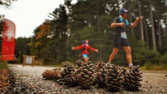 9. Eker I Run sona erdi