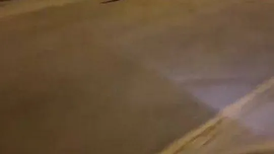 Aç kalan tilki Pendik'e indi