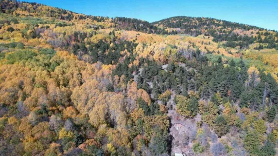 Adeta canlı bir yağlı boya tablosu: 'Karagöl'