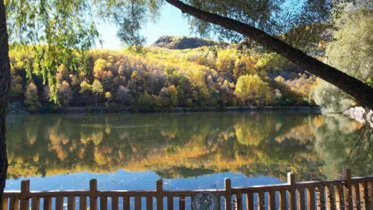 Adeta canlı bir yağlı boya tablosu: 'Karagöl'