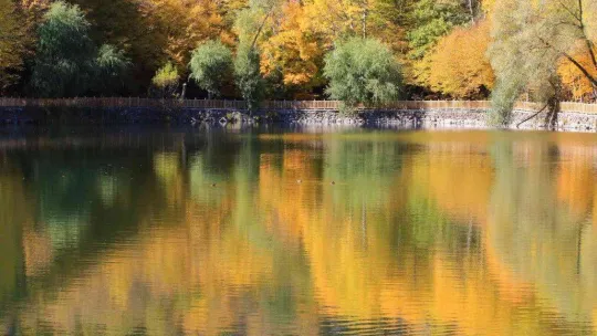 Adeta canlı bir yağlı boya tablosu: 'Karagöl'