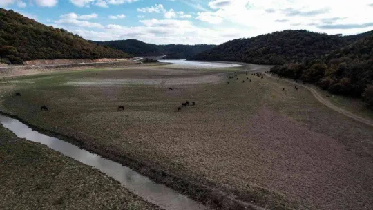 Afrika'yı aratmayan görüntüler İstanbul'da kaydedildi