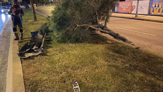 Ağaca çarpıp takla atan aracın sürücüsü olay yerinden kaçtı