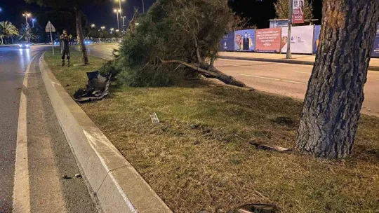 Ağaca çarpıp takla atan aracın sürücüsü olay yerinden kaçtı