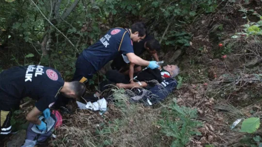 Ağaca takılan yamaç paraşütçüleri için nefes kesen kurtarma operasyonu