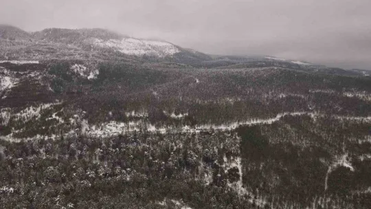 Ağaçlara düşen kırç görsel şölen yaşattı