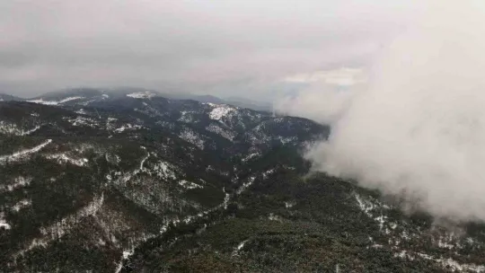 Ağaçlara düşen kırç görsel şölen yaşattı
