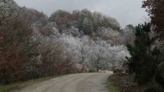 Ağaçlara düşen kırç görsel şölen yaşattı