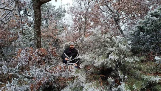 Ağaçlara düşen kırç görsel şölen yaşattı