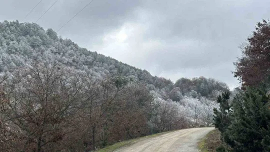 Ağaçlara düşen kırç görsel şölen yaşattı