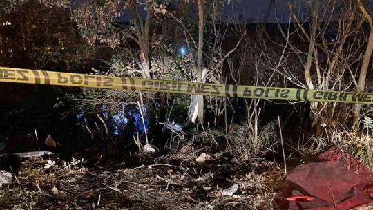 Ağaçlık alana uçan otomobil alev alev yandı: 1'i polis 2 kişi hayatını kaybetti