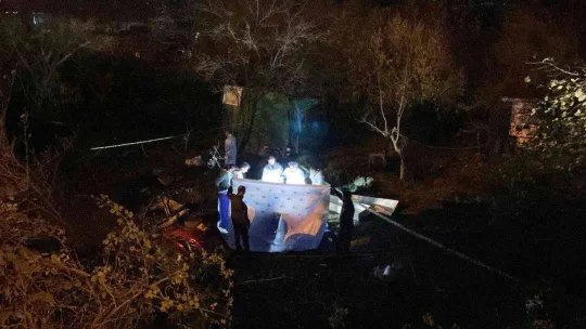 Ağaçlık alana uçan otomobil alev alev yandı: 1'i polis 2 kişi hayatını kaybetti