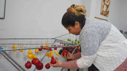 Aile ve Sosyal Hizmetler Bakanlığı'ndan kadınlara çifte destek