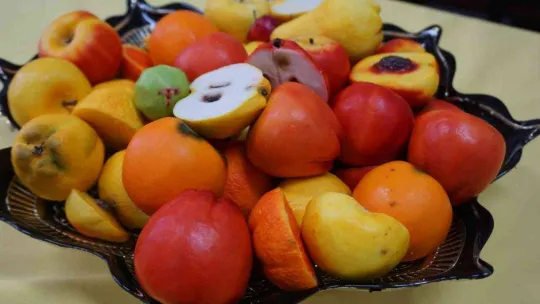 Aile ve Sosyal Hizmetler Bakanlığı'ndan kadınlara çifte destek