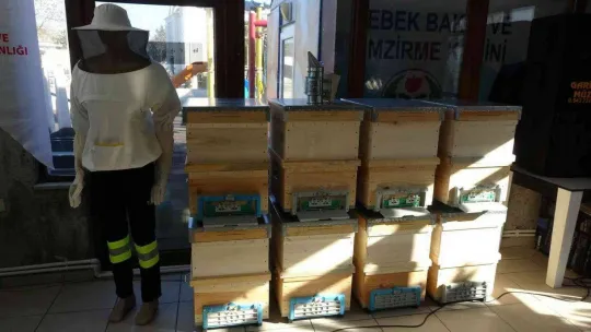 AK Partili Turan'dan Fransa'ya 'Bahçenizde affedersiniz kuduz bir köpek beslerseniz, bir gün sizi ısırdığında şaşırmayacaksınız'