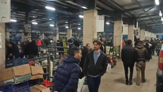 Akşam pazarına akın: Bitpazarındaki kalabalık havadan görüntülendi