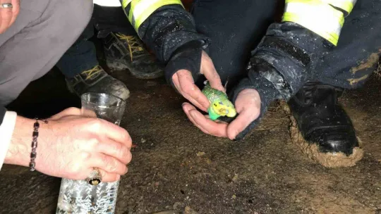 Alev alev yanan evlerini gözyaşları içinde çaresizlikle izlediler