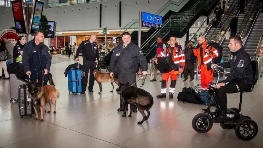 Almanya'dan Türkiye'ye özel eğitimli ekip geldi