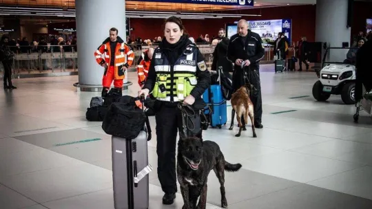 Almanya'dan Türkiye'ye özel eğitimli ekip geldi