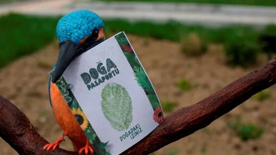 Altınova Belediyesi 10 binin üzerinde Doğa Pasaportu dağıttı