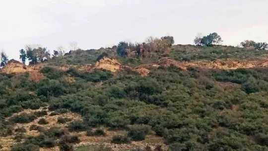 Altınova'da geleceğin arkeologları iş başında