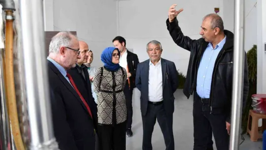 Altınova Tıbbi Aromatik Bitkiler Bahçesinde bilimsel çalışmalar başlıyor