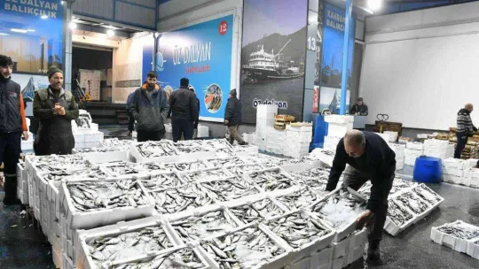 Ankara Balık Hali esnafı yeni yerinden memnun