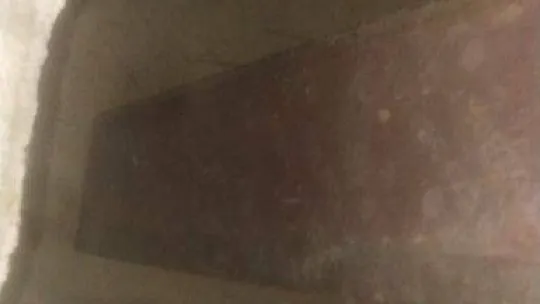 Ankara'da su kuyusuna düşen köpek kurtarıldı