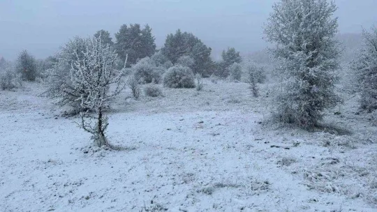 Ankara'ya mevsimin ilk karı düştü
